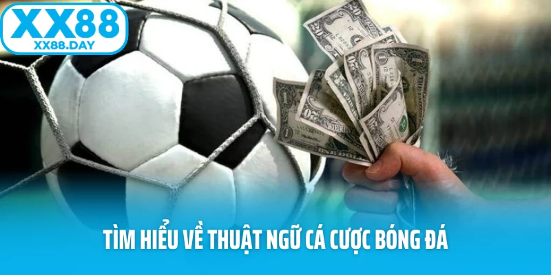 Tìm hiểu về thuật ngữ cá cược bóng đá